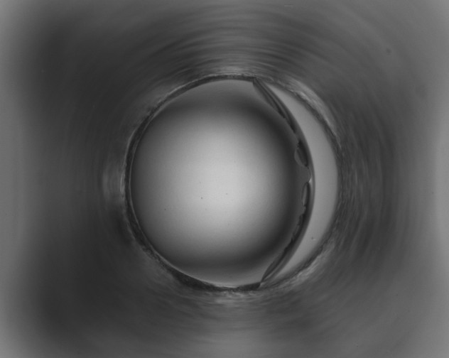 X0000089660938200706281319
