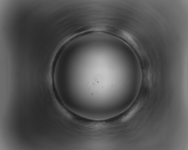 X0000089660939200706281319