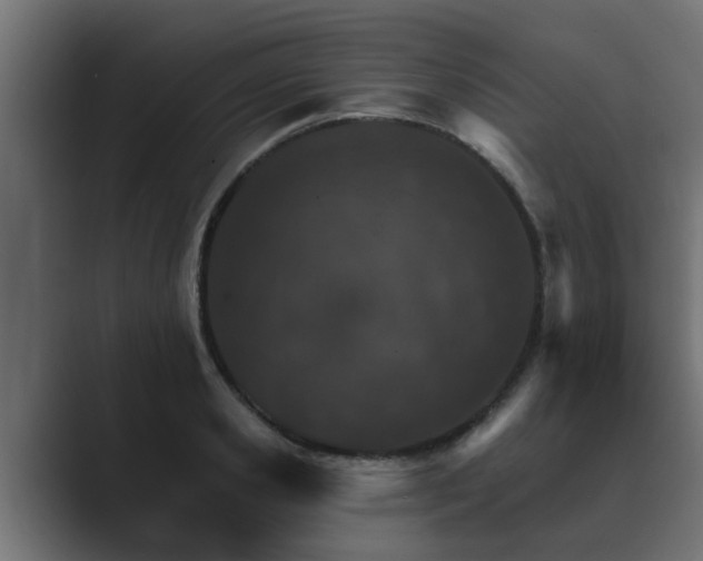 X0000089660941200706281319