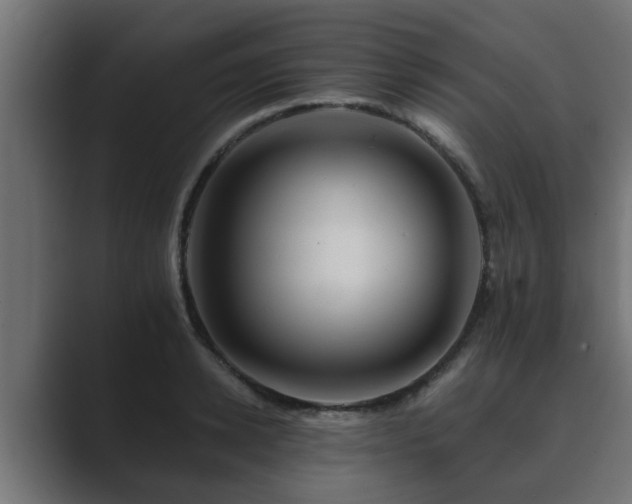 X0000089660942200706281319