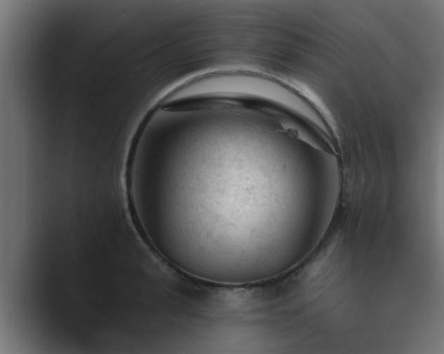 X0000089660943200706281319