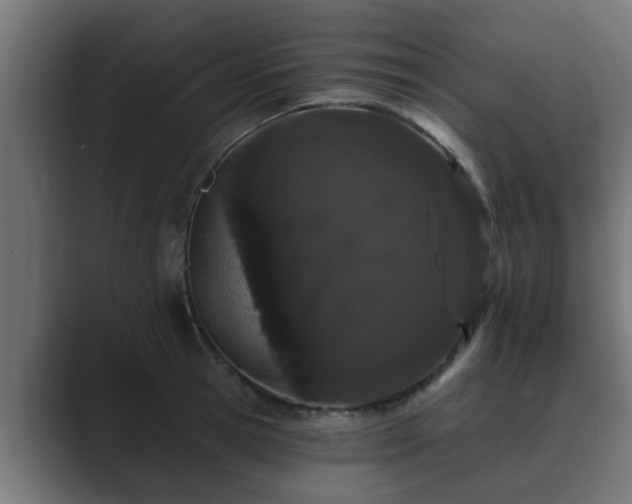 X0000089660945200706281319