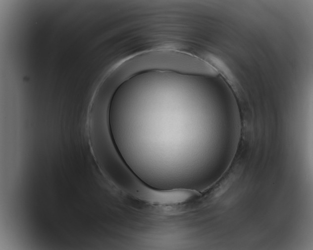 X0000089660948200706281319