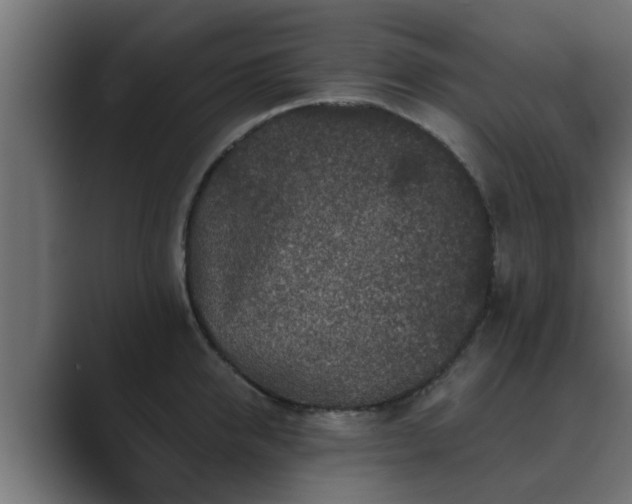 X0000089660950200706281319