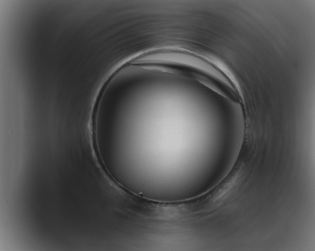 X0000089660951200706281319