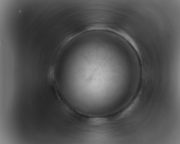 X0000089660953200706281319