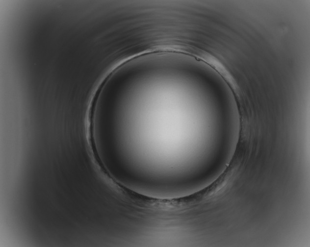 X0000089660955200706281319