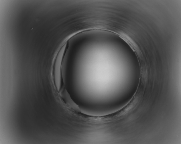 X0000089660956200706281319
