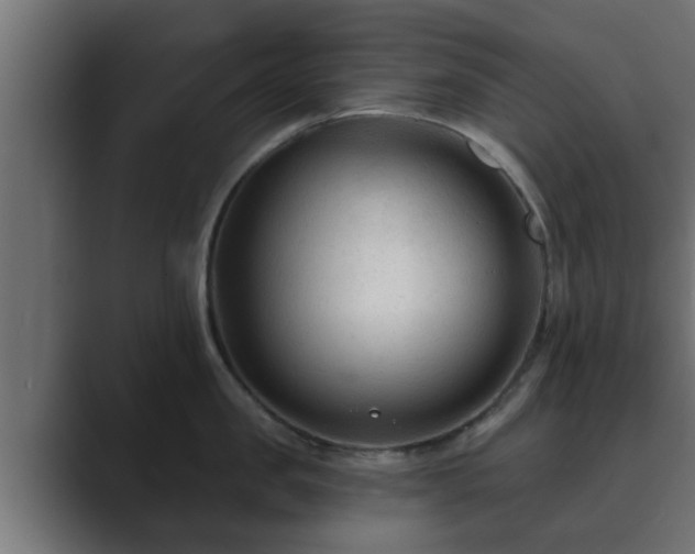 X0000089660957200706281319