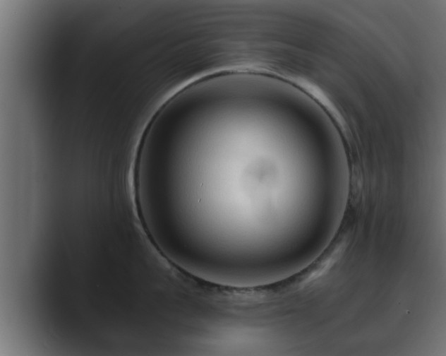 X0000089660959200706281319