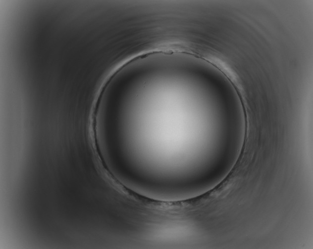 X0000089660960200706281319