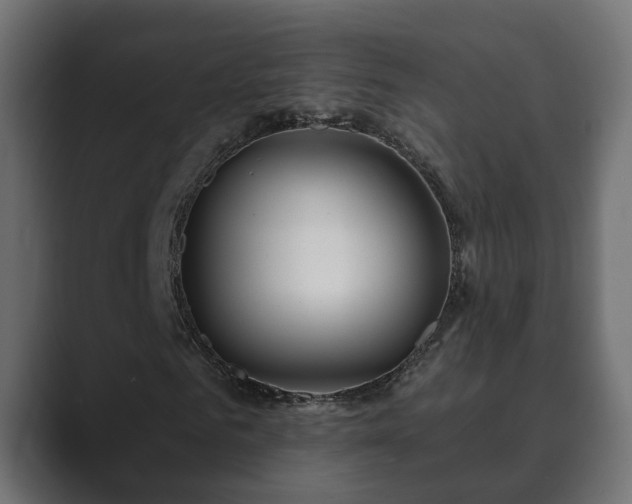 X0000089660961200706281318
