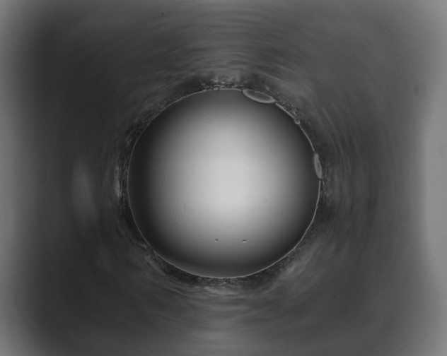 X0000089660962200706281318