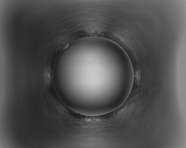 X0000089660963200706281318