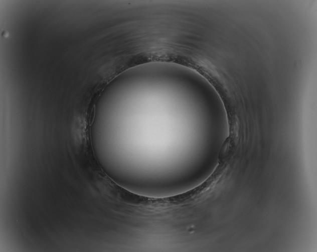 X0000089660964200706281318