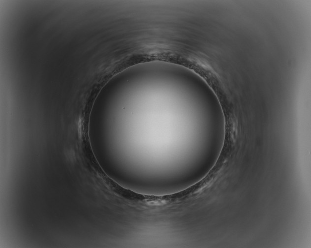 X0000089660965200706281318