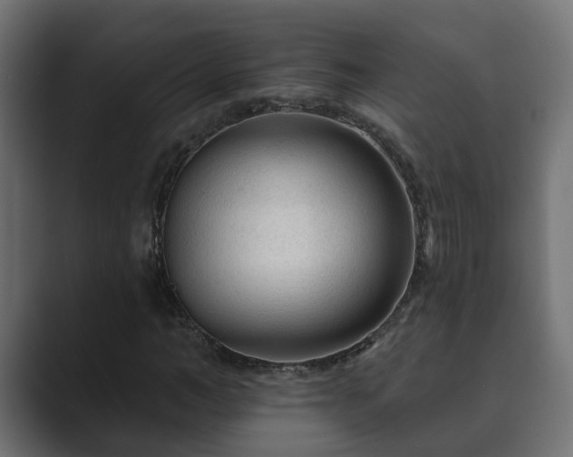 X0000089660966200706281318