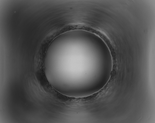 X0000089660967200706281318