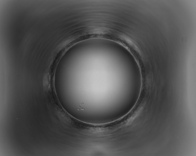 X0000089660970200706281318