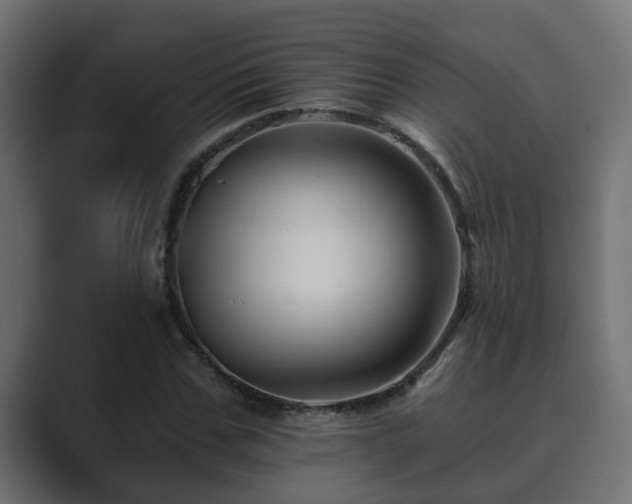 X0000089660971200706281318