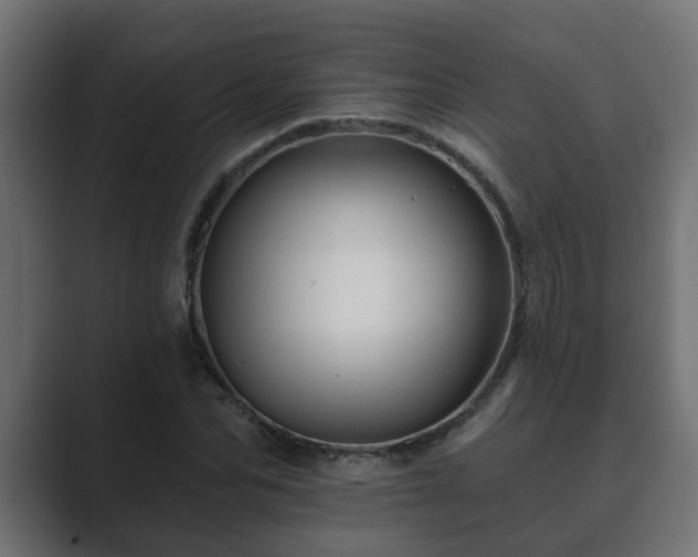 X0000089660974200706281318
