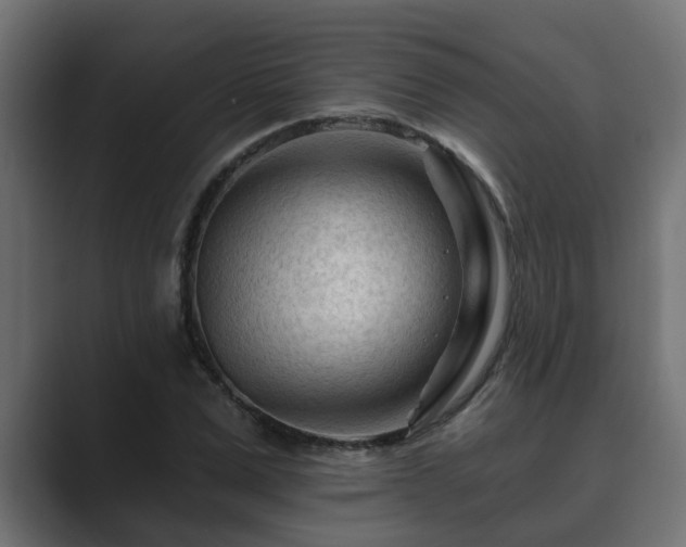 X0000089660975200706281318