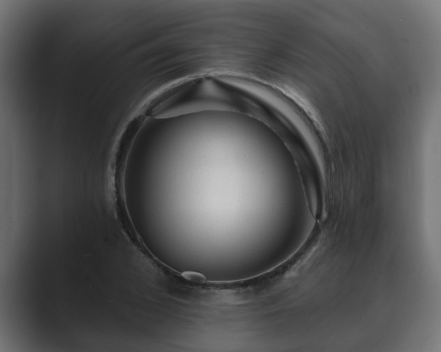 X0000089660976200706281318
