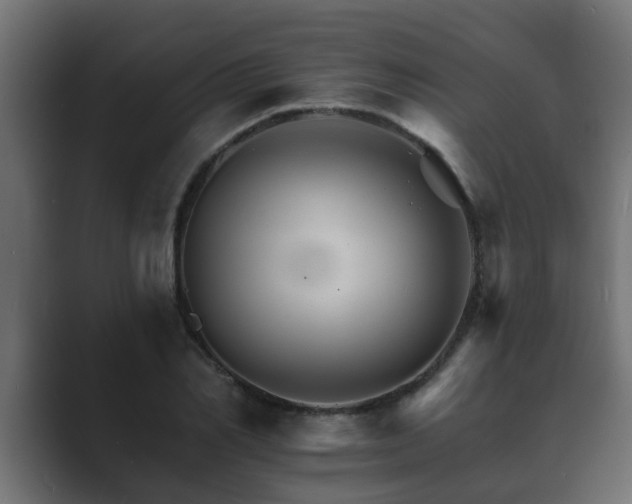 X0000089660982200706281318