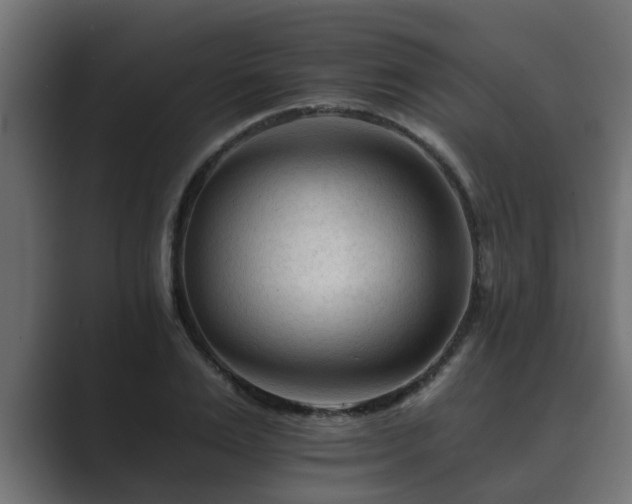 X0000089660983200706281318