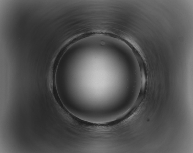 X0000089660984200706281318