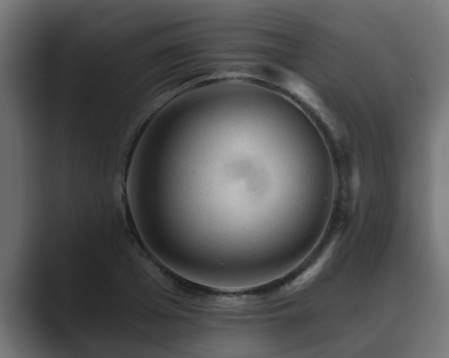 X0000089660985200706281318