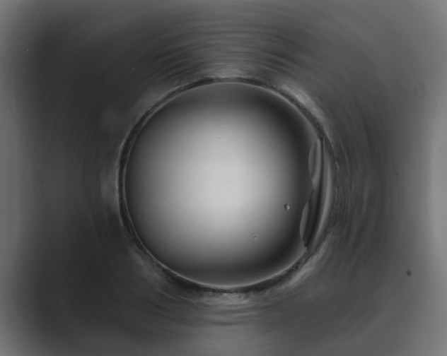 X0000089660986200706281318