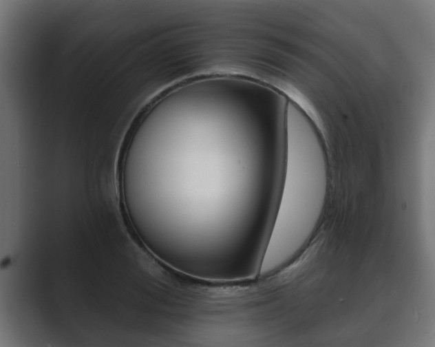 X0000089660988200706281318