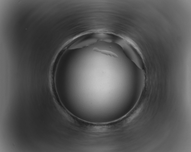 X0000089660989200706281318