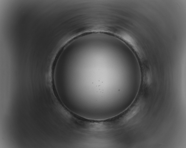 X0000089660990200706281318