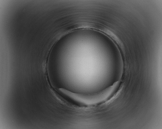 X0000089660993200706281318