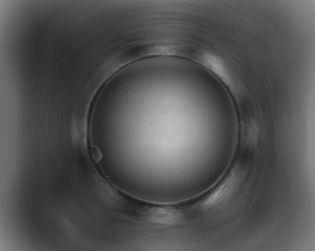 X0000089660994200706281318