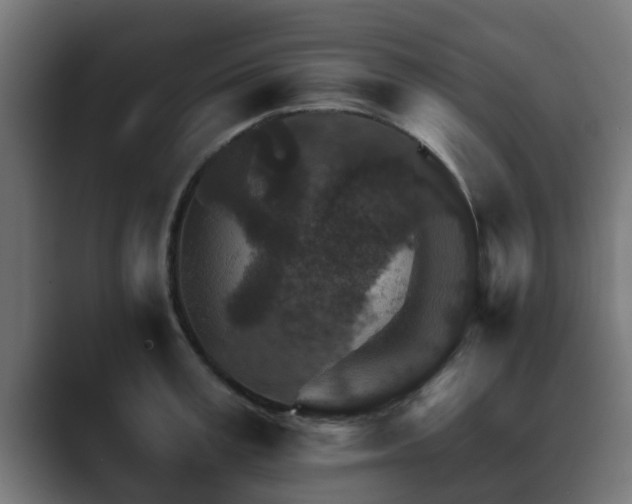 X0000089660995200706281318