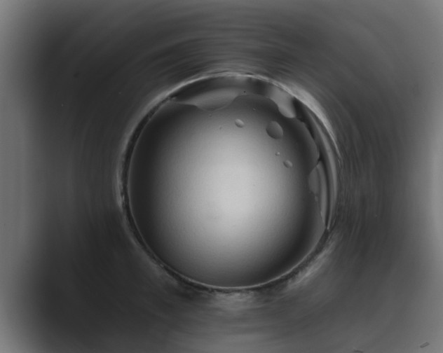 X0000089660997200706281318