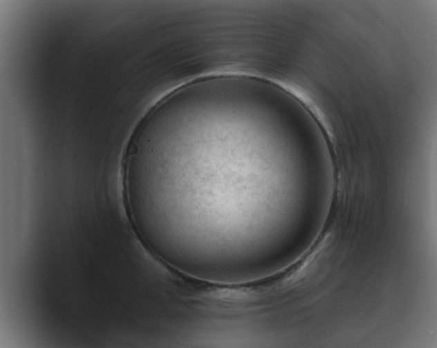 X0000089660998200706281318