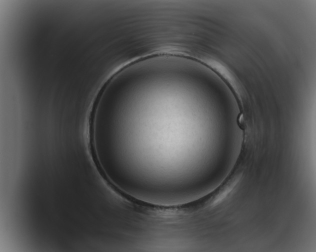 X0000089660999200706281318