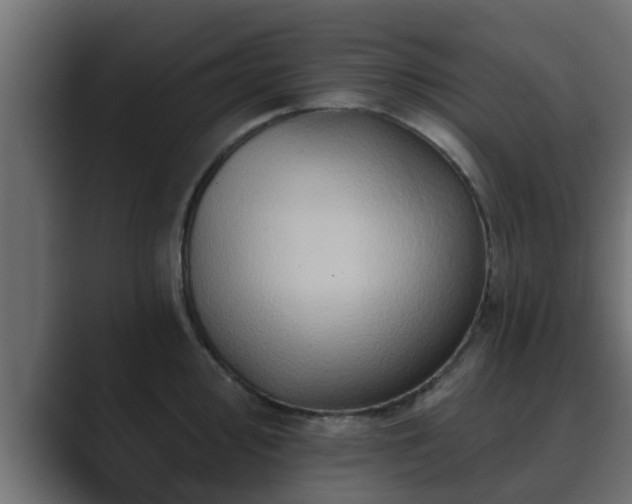 X0000089661000200706281318