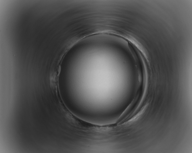 X0000089661001200706281318