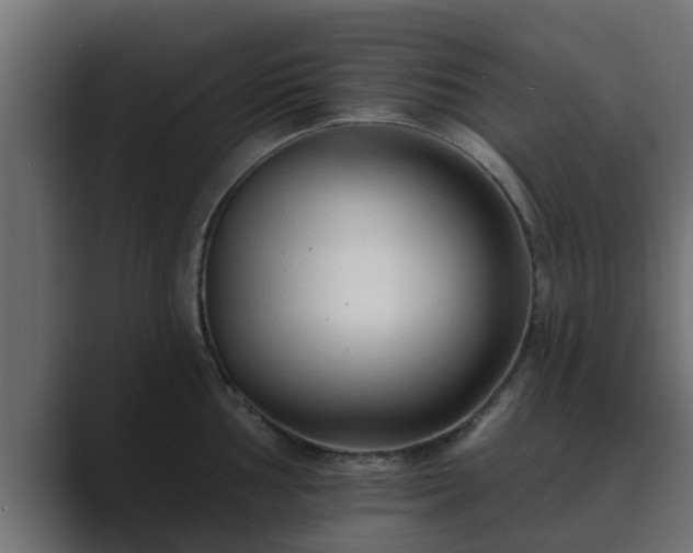X0000089661002200706281318