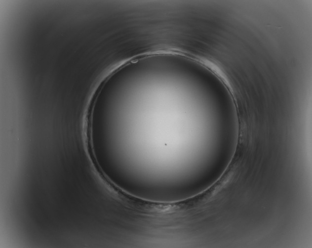 X0000089661003200706281318
