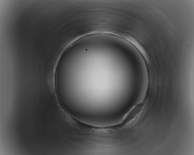 X0000089661004200706281318