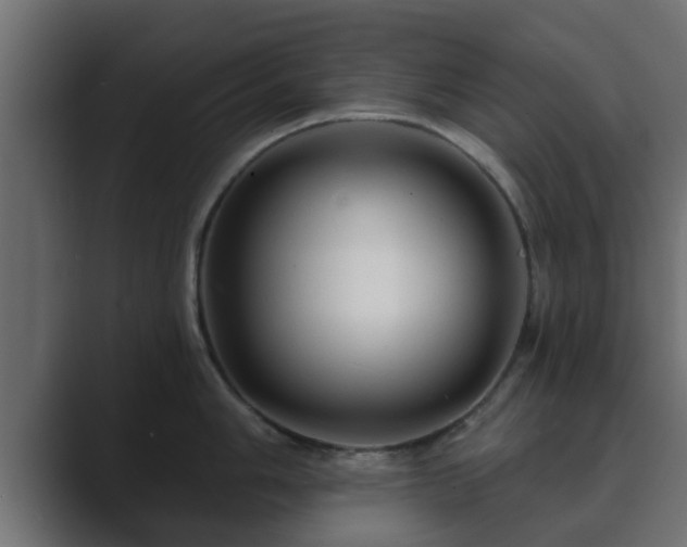 X0000089661006200706281318