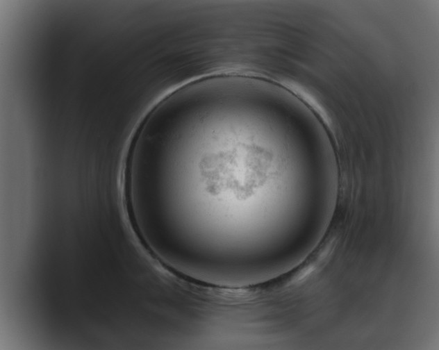 X0000089661007200706281318