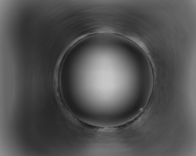 X0000089661008200706281318