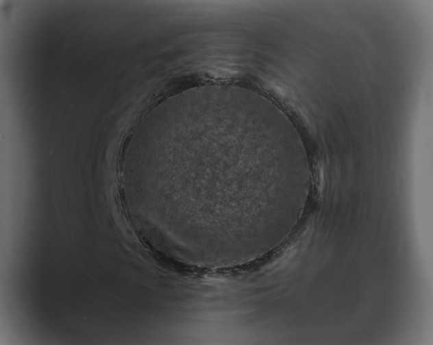 X0000089661009200706281317